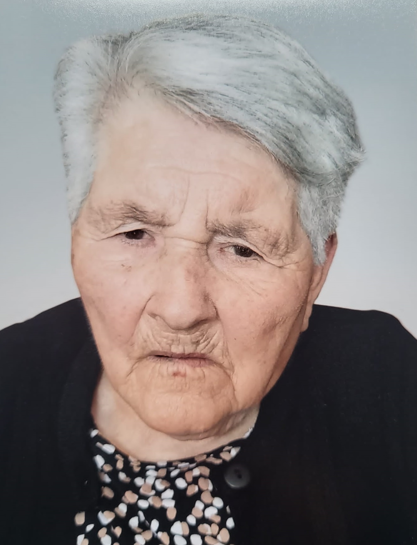 Elvira da Silva Briote