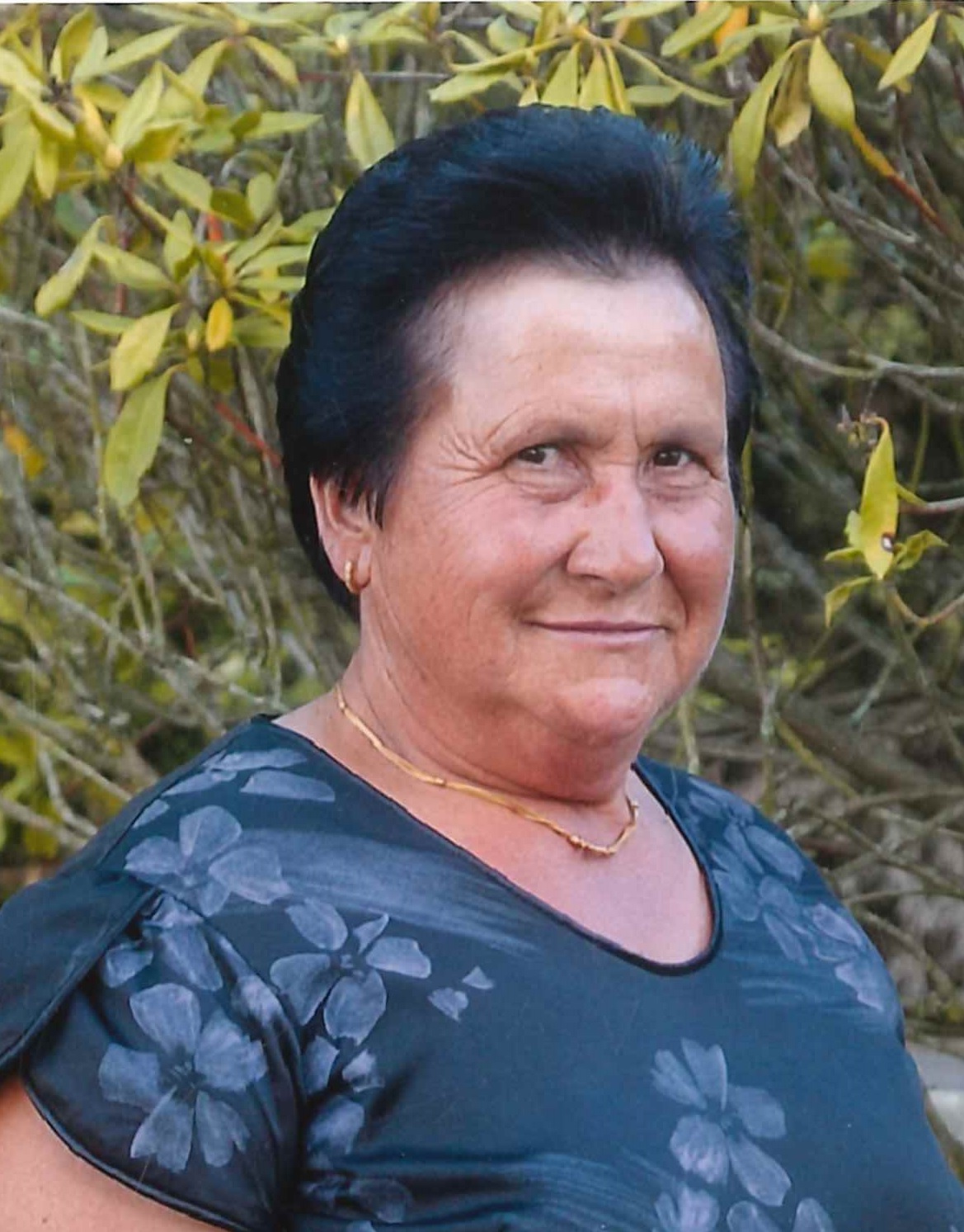 Maria de Fátima Campos da Silva