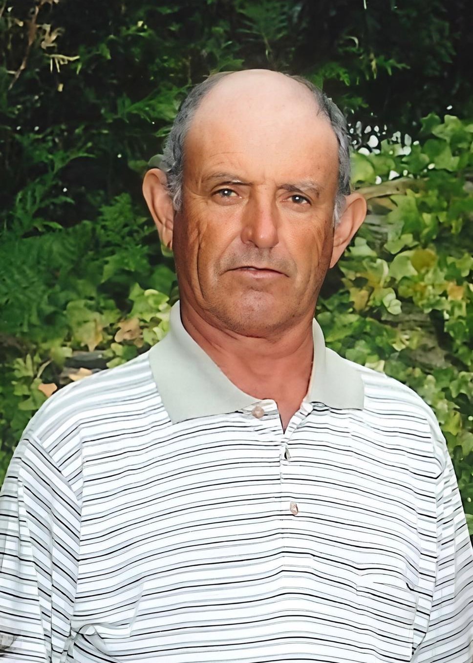 António Faria da Silva