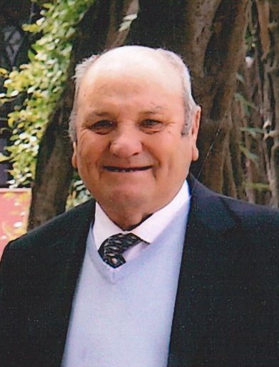 Manuel Domingues da Silva Furtado