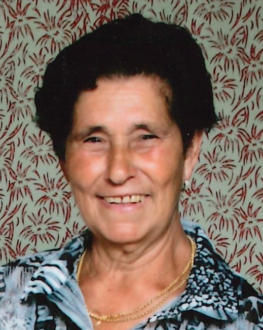 Palmira Correia de Araújo