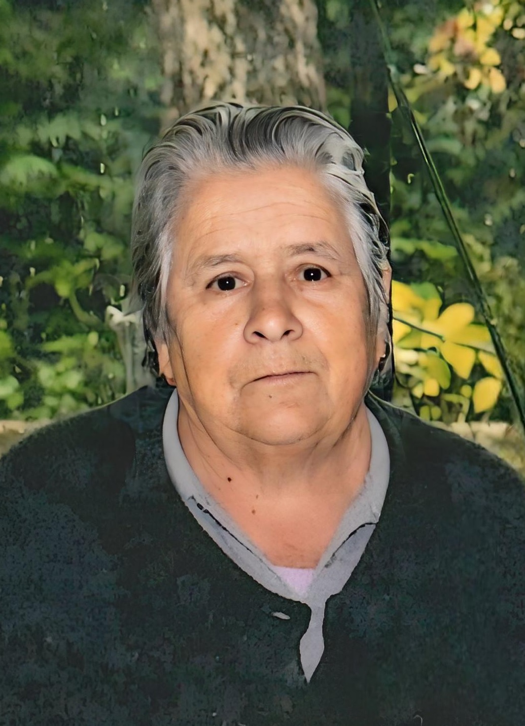 Alice de Sousa Faria