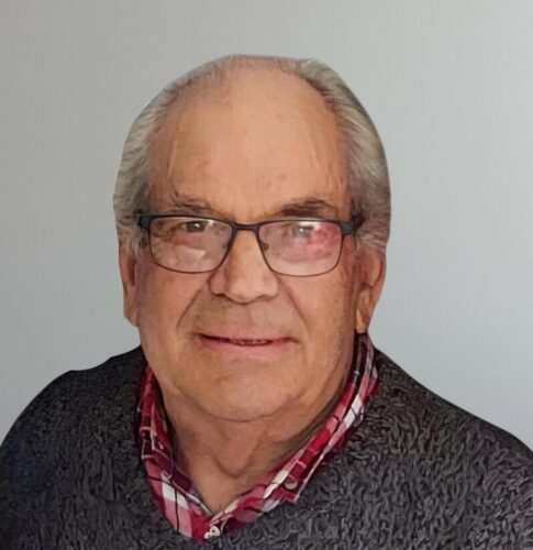 José da Silva Novais