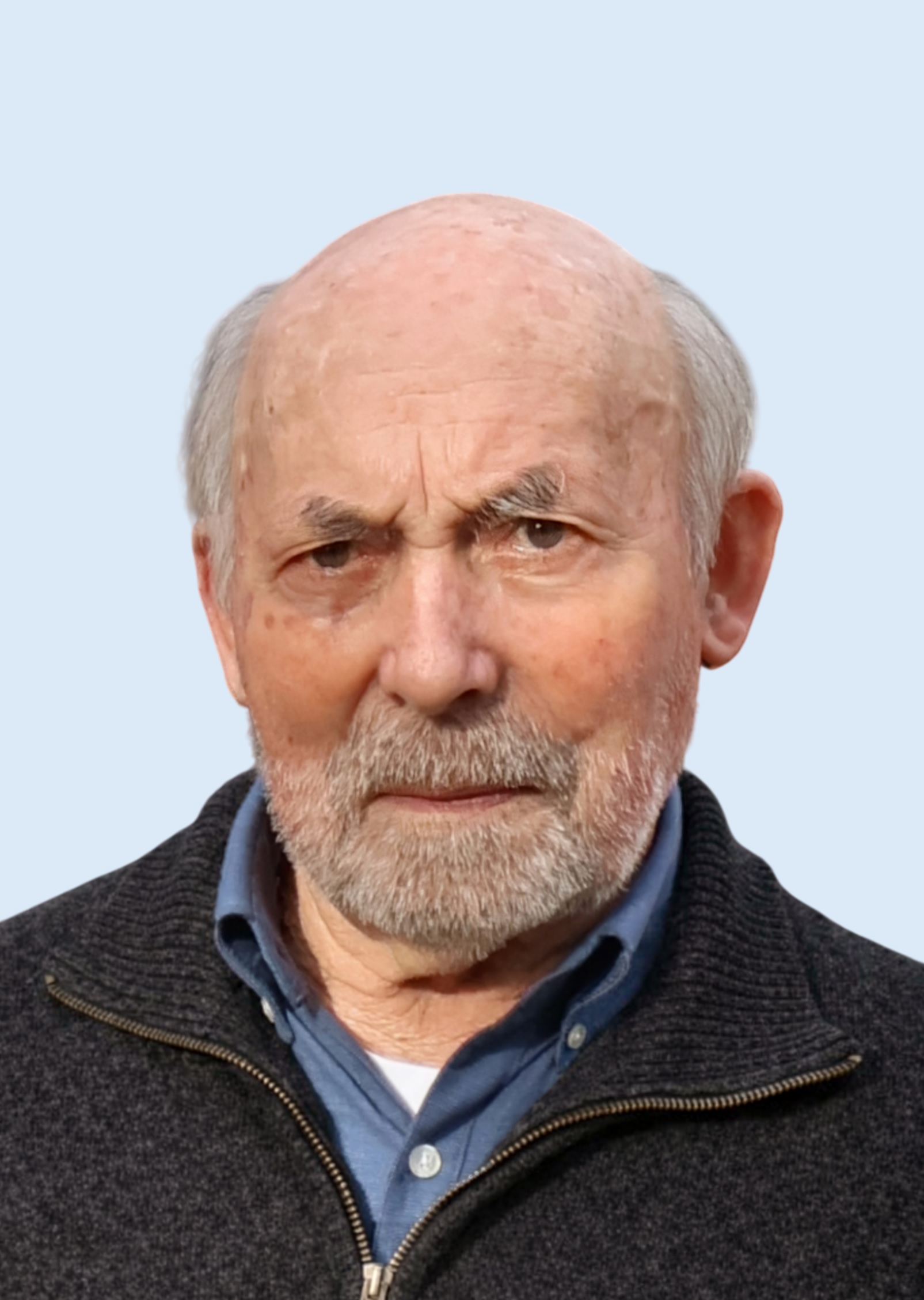Manuel da Silva Faria